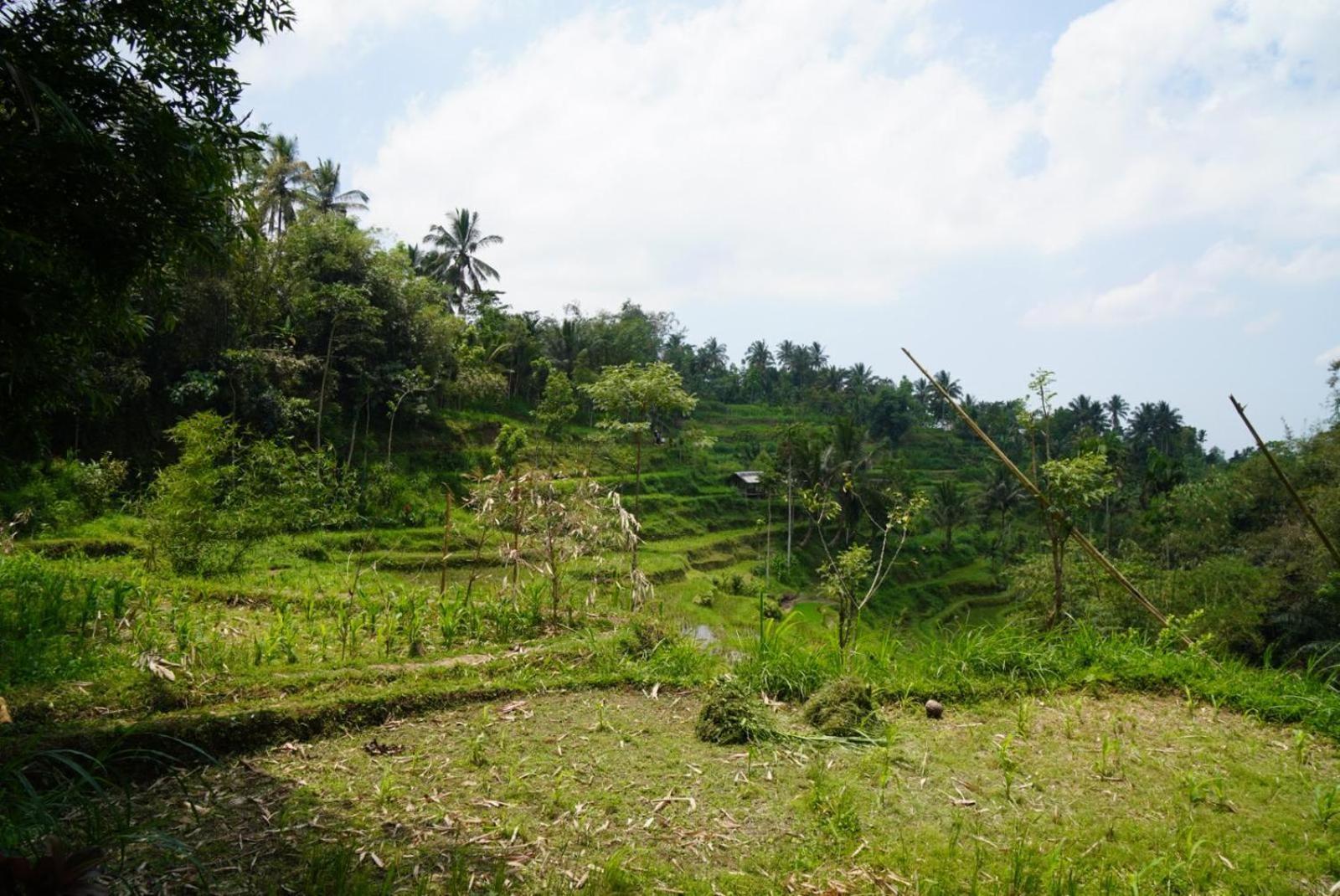 Tetebatu Indah Homestay Стая снимка