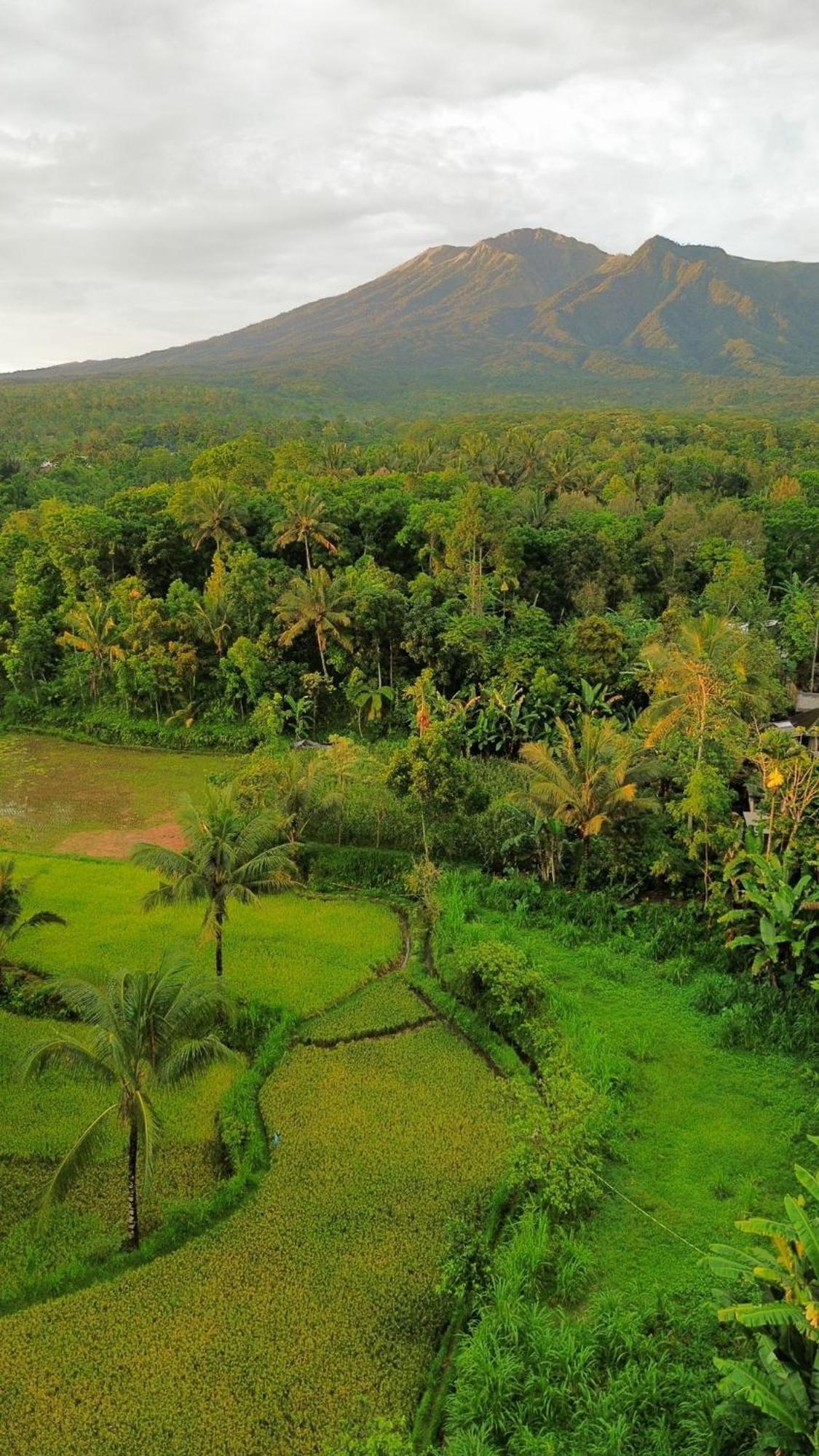 Tetebatu Indah Homestay Екстериор снимка