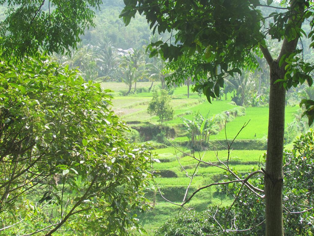 Tetebatu Indah Homestay Екстериор снимка