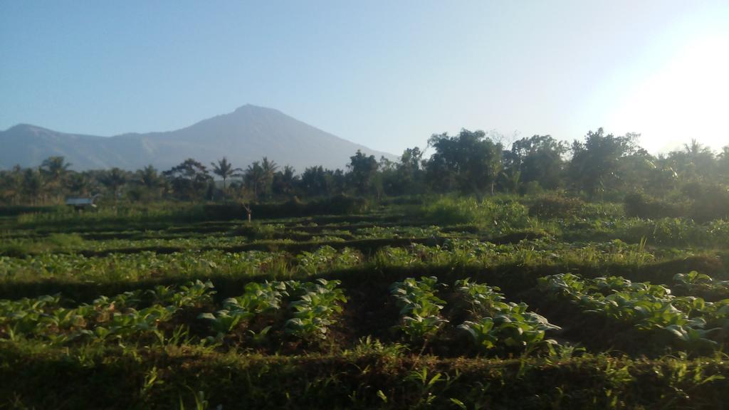 Tetebatu Indah Homestay Екстериор снимка