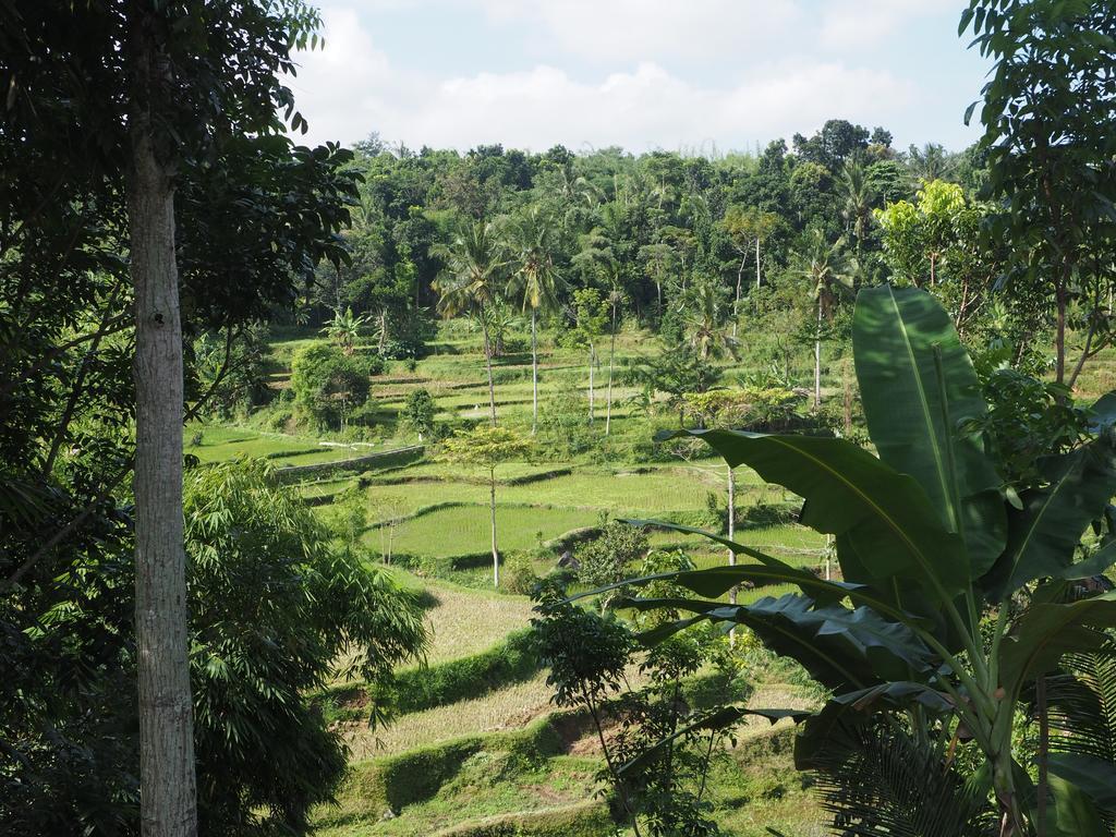 Tetebatu Indah Homestay Екстериор снимка