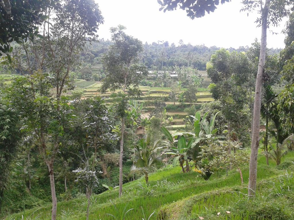 Tetebatu Indah Homestay Екстериор снимка