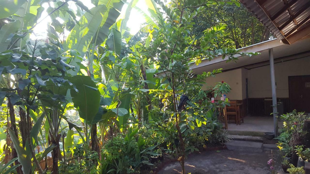 Tetebatu Indah Homestay Екстериор снимка
